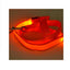 LED Illuminated Traction Nylon Pet Leash