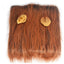 Lion Mane Wig for Large Dogs