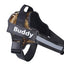 Personalize Dog Harness Dog Name