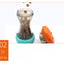Pet Food Leakage Toy Dog Toy Leakage Ball Bite Resistant Slow Cat