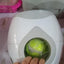 Smart Pet Feeder Tennis Ball Missing Device Throwing Reward Machine