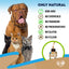 Cats And Dogs Natural Worm Treatment With Probiotic Liquid Herbal Medicine Prevention Medication Supplement Drops For Kitten And Puppies For Daily Use With Pet Food