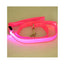 LED Illuminated Traction Nylon Pet Leash