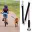 Bicycle walking dog leash