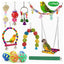 Parrot Combination Toy 10-Piece Set Wooden Bead Rotating Ladder Swing Stand Wooden Ladder Sepak Takraw Chewing Toy