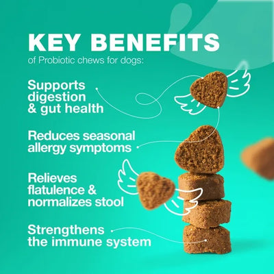 Probiotics For Dogs Gut Health Digestion Immunity Yeast Balance Itchy Skin Allergies Support Dog Probiotic Chews With Digestive Enzymes For Gut Flora Soft Treats With Pumpkin And Yeast Powder