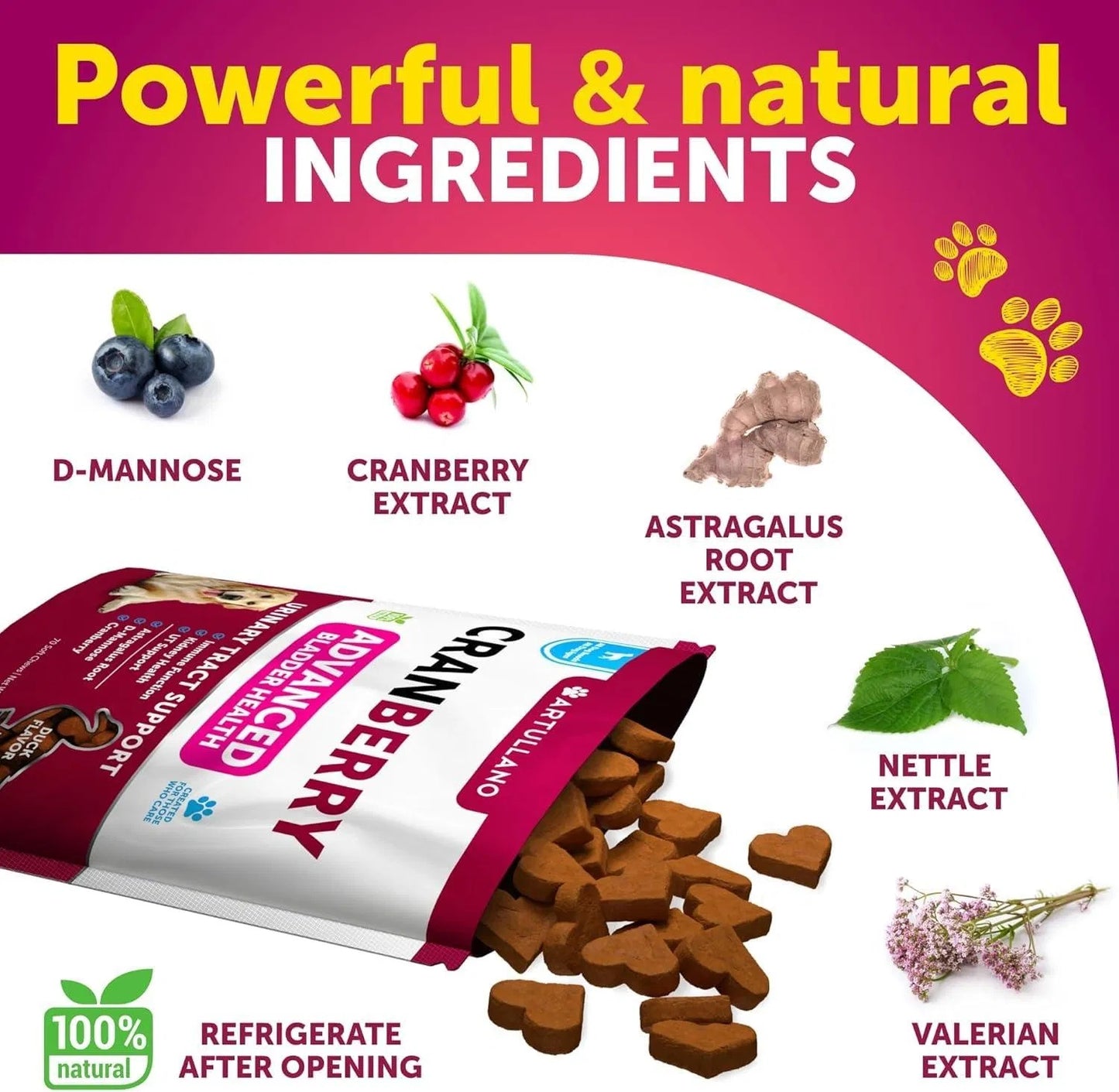 Do Not Sell On Amazon Dog UTI Treatment Cranberry Supplement Bladder Control Urinary Tract Infection Incontinence Pill Bladder Stones UTI Medicine Treats 70 Soft Chews For Kidney Support With Fish Oil