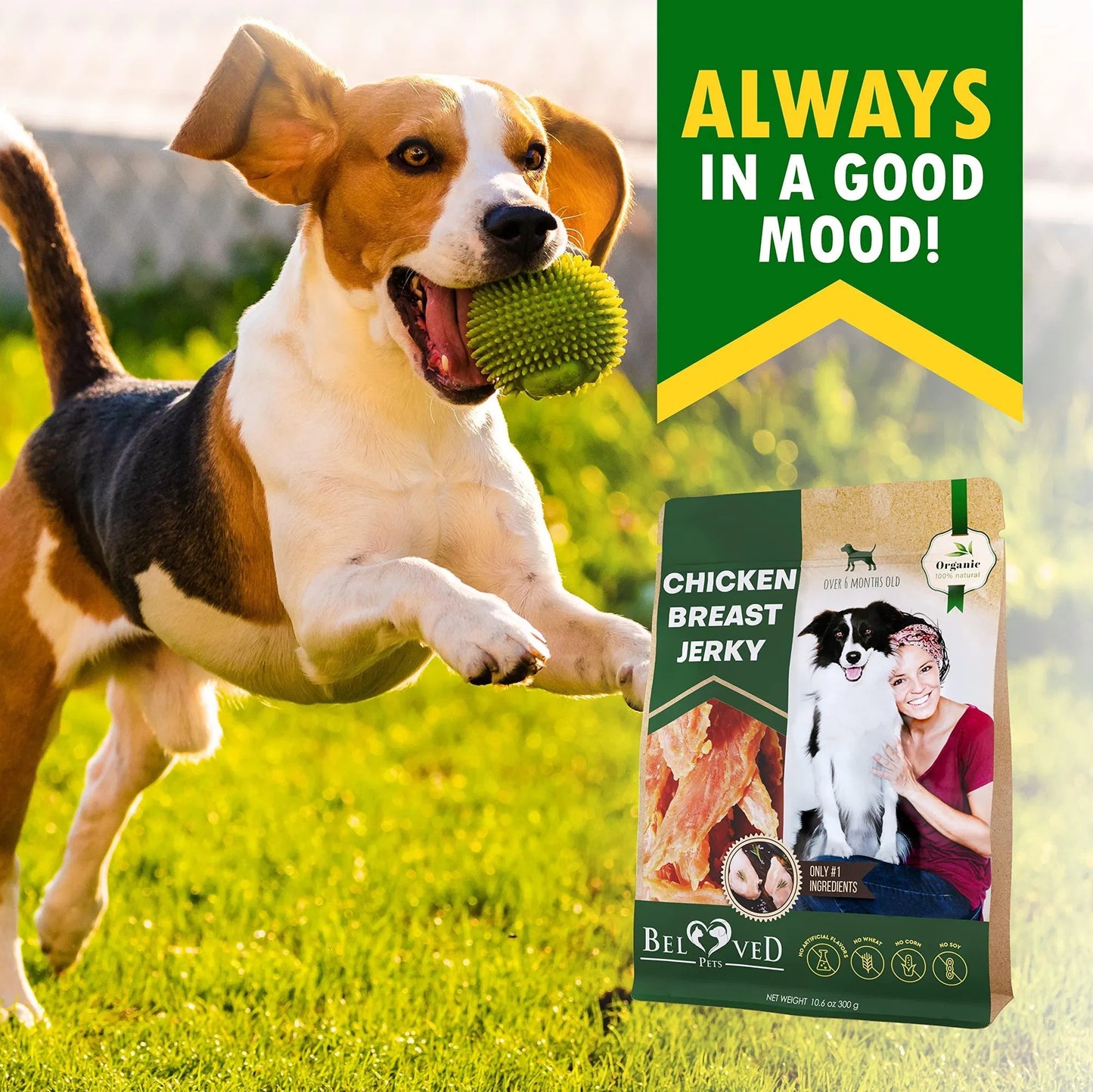 Chicken Jerky Dog Treats All Natural And Organic Healthy Snacks For Large & Small Dogs Grain Free And High Protein Human Grade Pet Chews 300 Gram