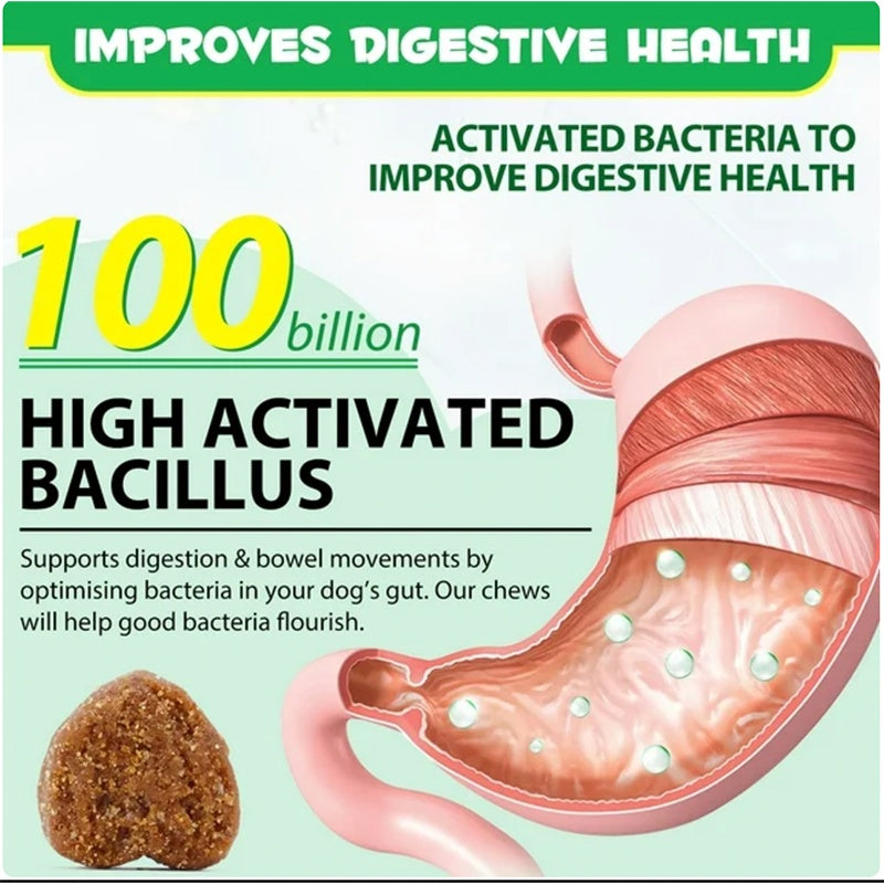 OEM Hot Sales Probiotics Chews For Pets Customized Shape