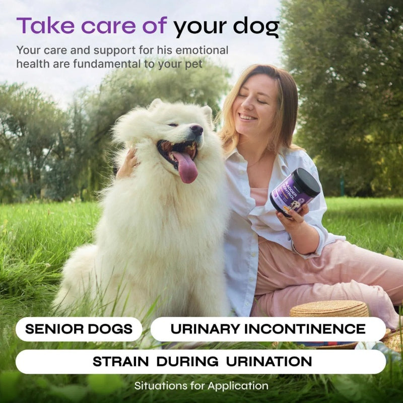Dog UTI Treatment Duck Flavor Bladder Control Cranberry Chews Dog Cranberry Supplement For Urinary Tract Bladder & Kidney Health Cranberry D Mannose Soft Treats For Dog Incontinence Healthy Bladder
